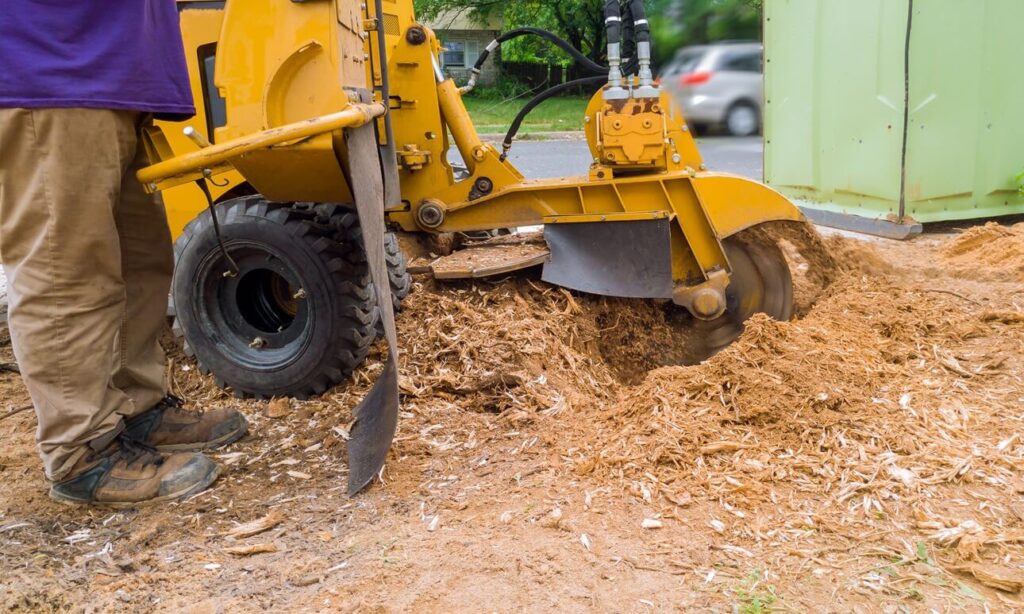 Fredericksburg TX Stump Grinding