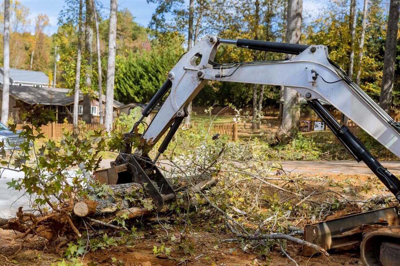 Tree removal in Fredericksburg TX